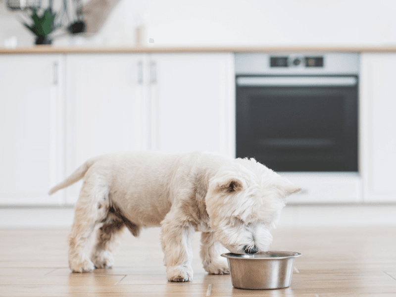 Digestive System Sensitivity