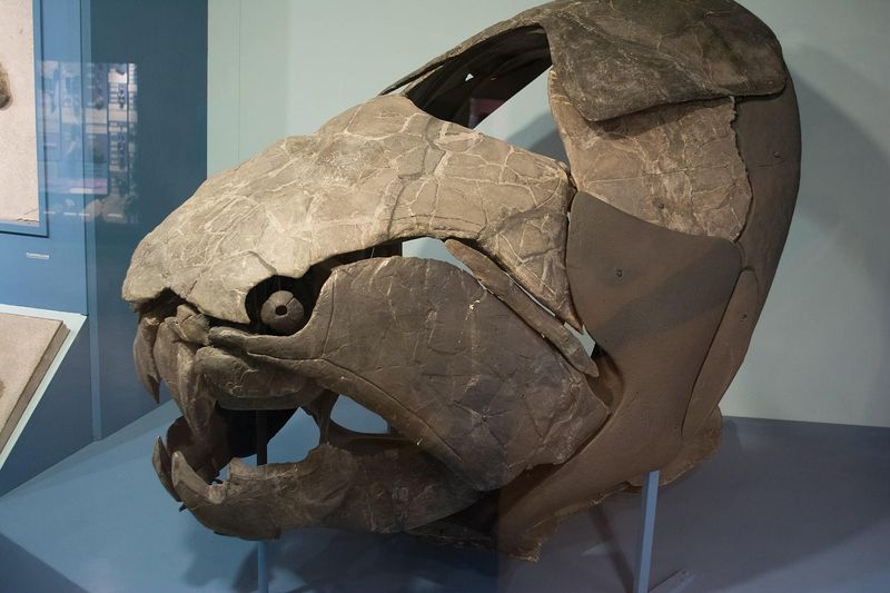 Placoderms: Armored Pioneers