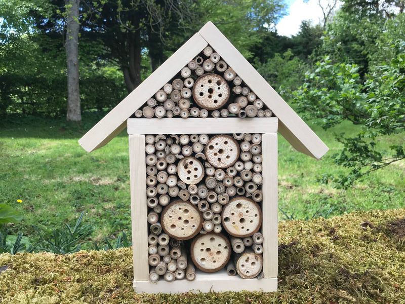Build A Bee Hotel