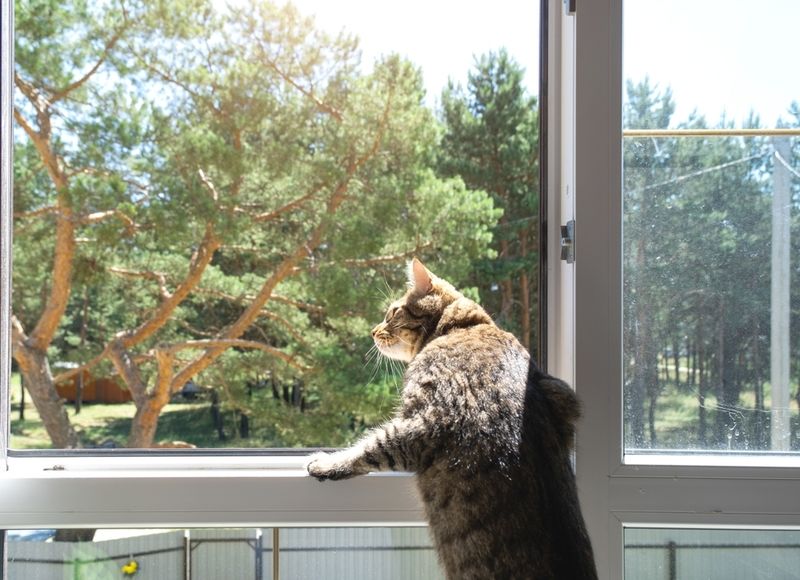 Ignoring Outdoor Triggers