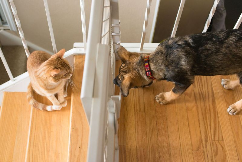 Forgetting Supervised Interactions