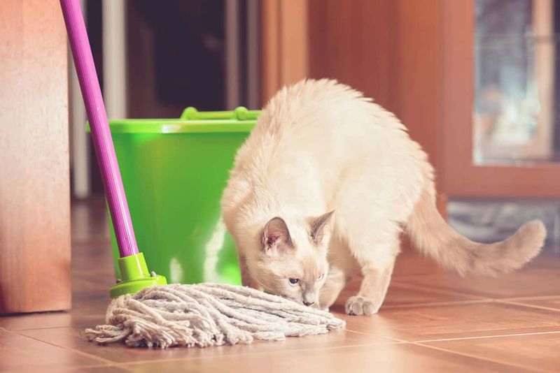 Using Harsh Cleaning Products