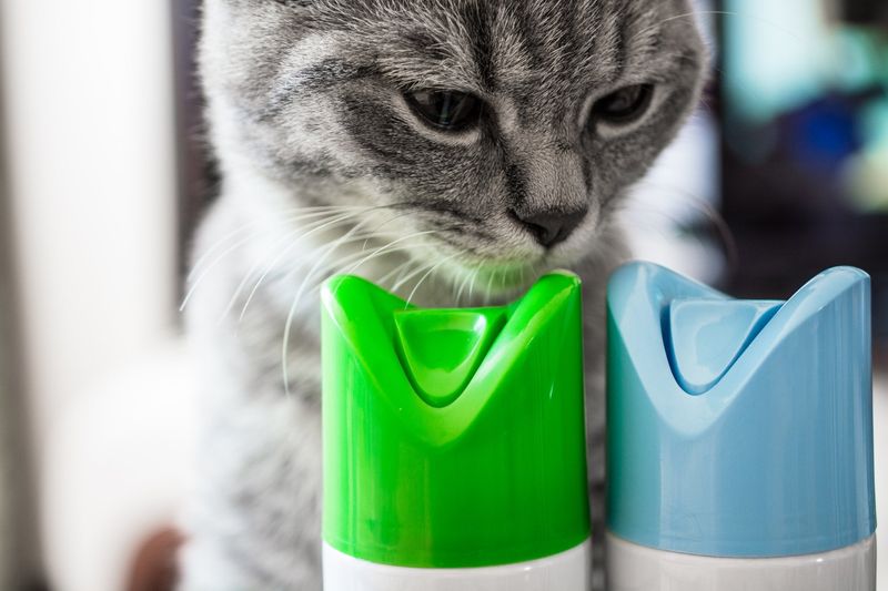 Using Strong Scents Carelessly