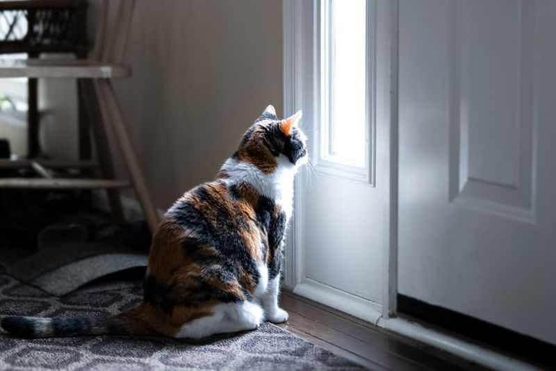 Greeting You At The Door