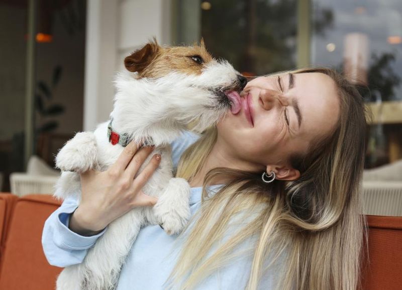The Famous Face Lick