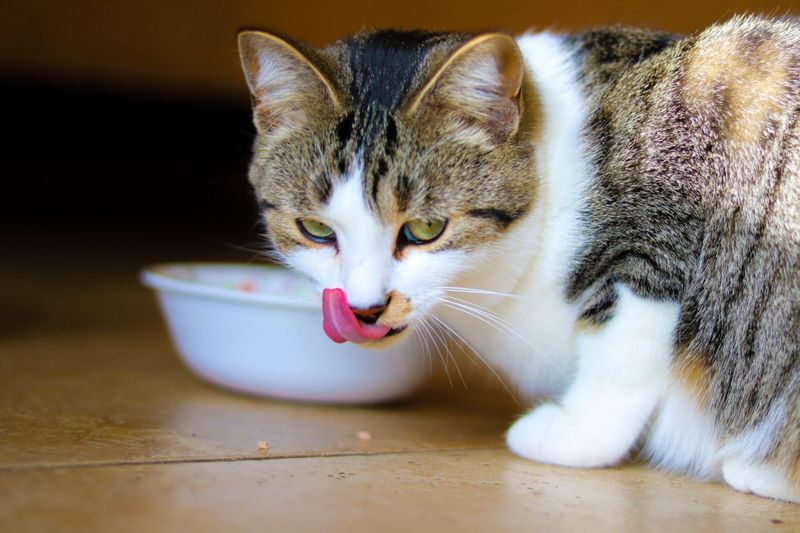 Changing Appetites: Picky Eaters Emerge