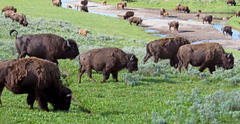 Agricultural Practices Evolve