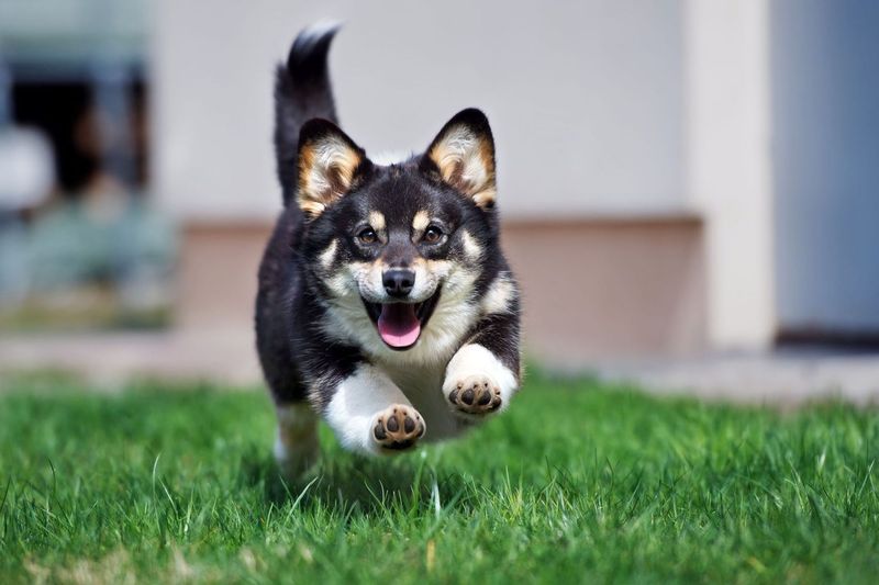 Chasing The Invisible