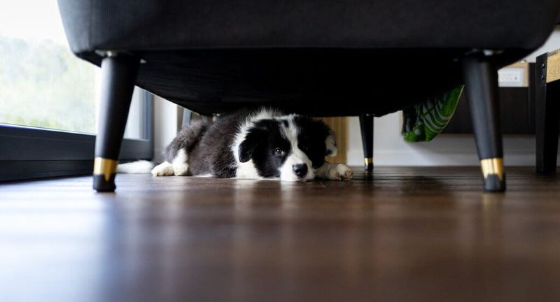 Hiding