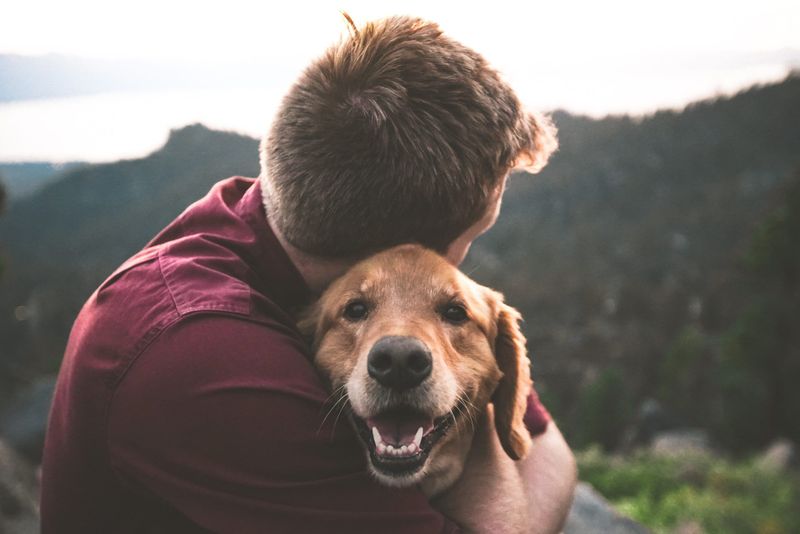 Emotional Intelligence Champions