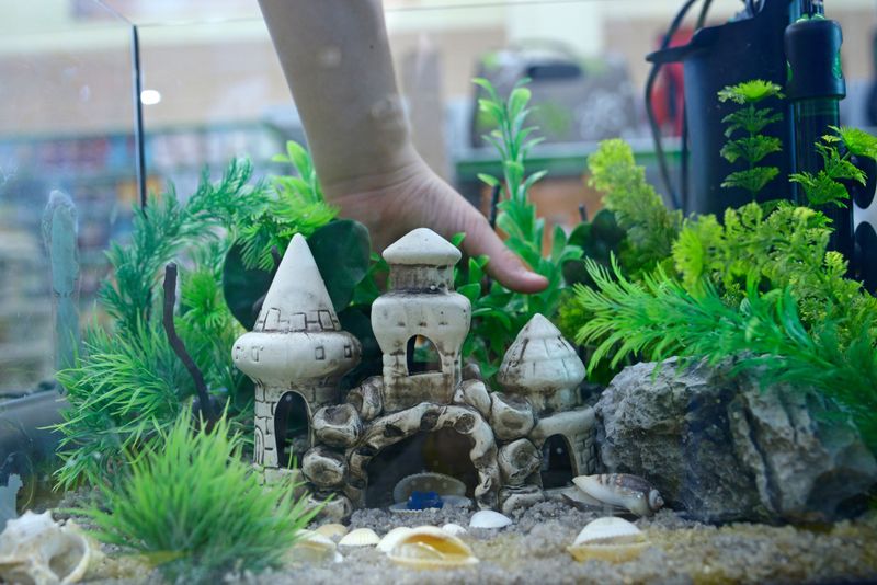 Tank Decor