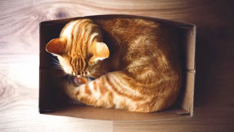 Sleeping In Tight Spaces