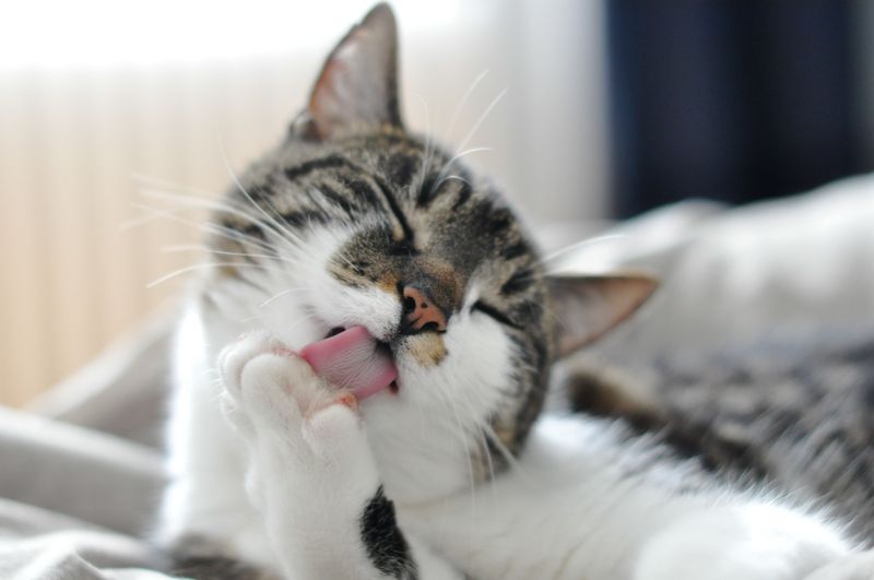 Grooming Self-Sufficiency