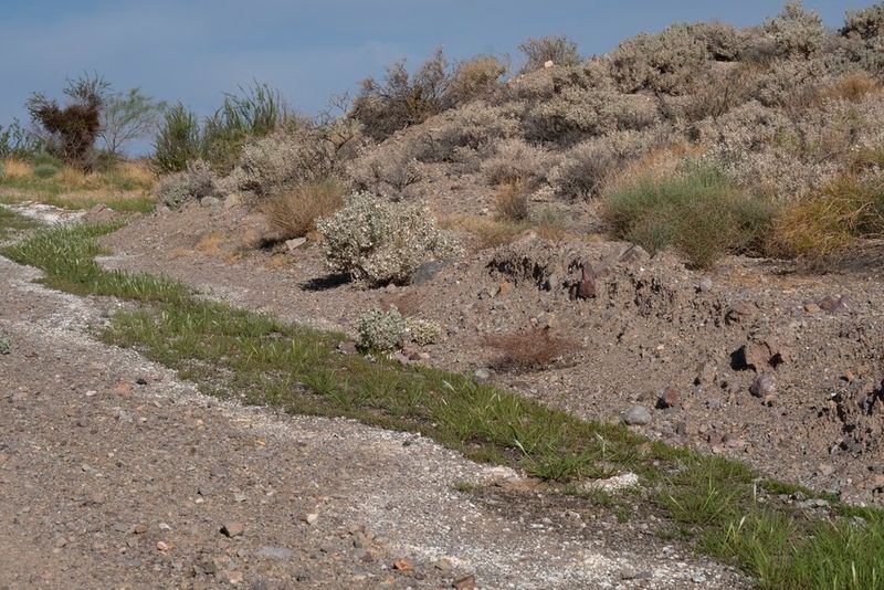 Changed Water Drainage Patterns