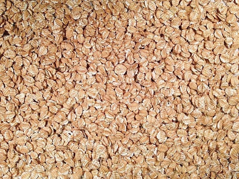 Spelt: An Ancient Grain That Cats Struggle To Digest
