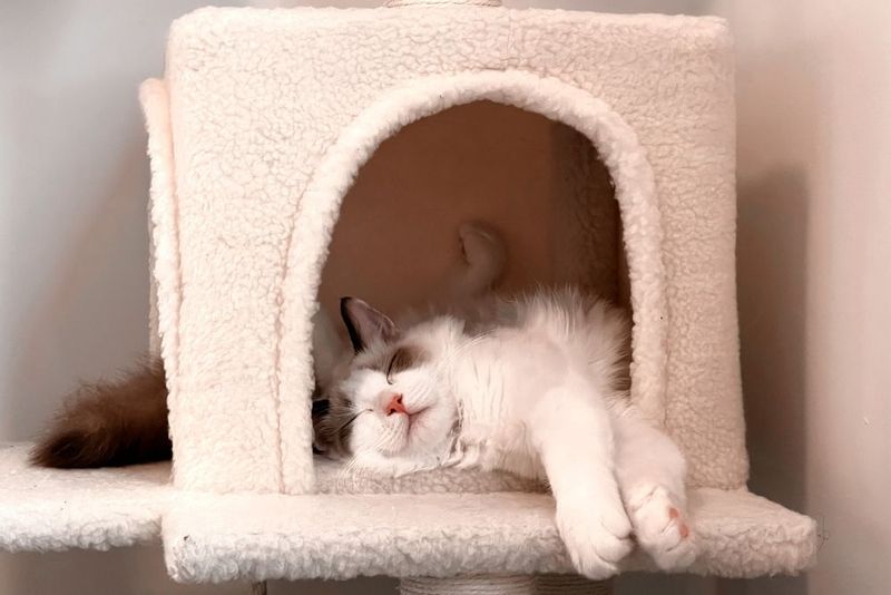 Provide Safe Hideaway Spots