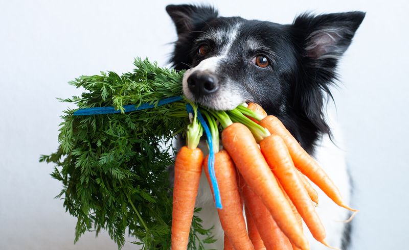 Carrots