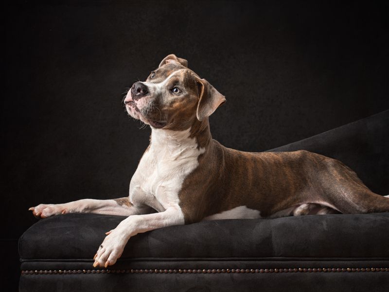 Take Professional-Quality Photos