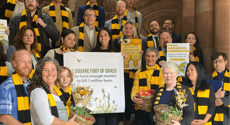 Advocate For Pollinator Protection