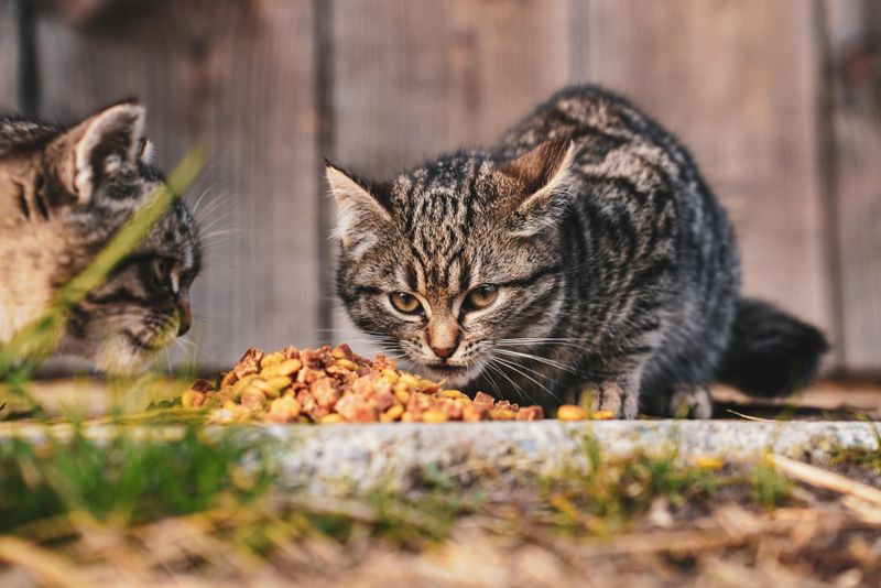 The Autumn Appetite Surge