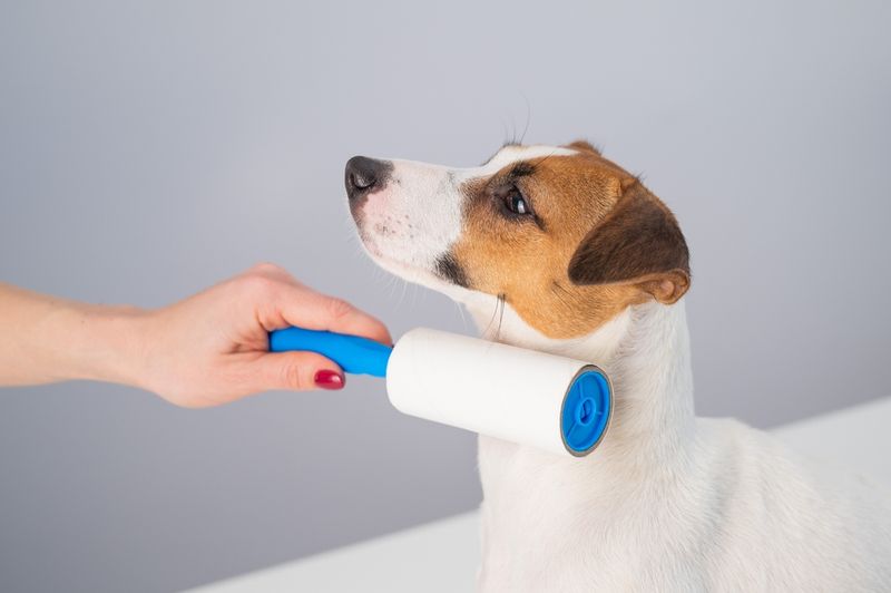 Lint Roller Upgrade
