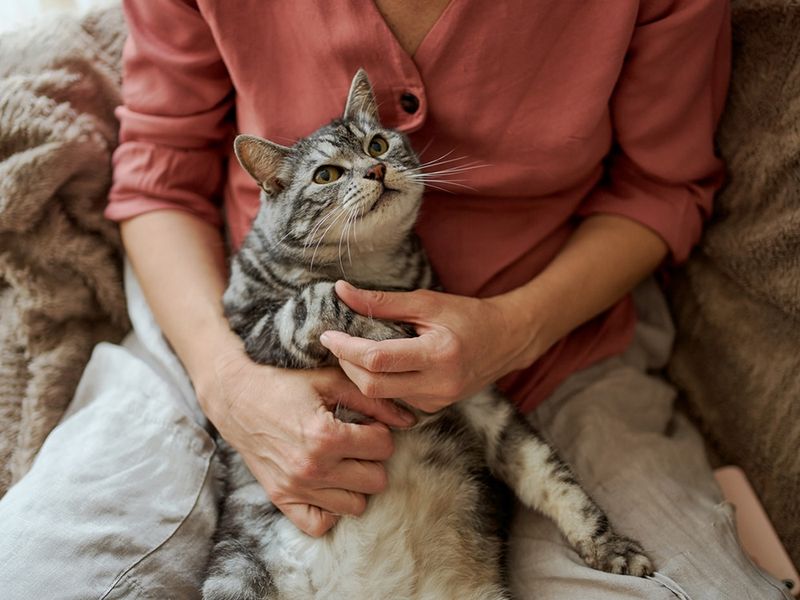 Gentle Acceptance Of Help