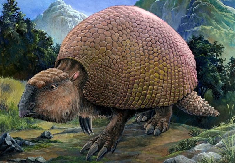 Glyptodonts In New Mexico Badlands