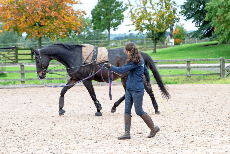 Incorporate Long-Lining Into Your Routine