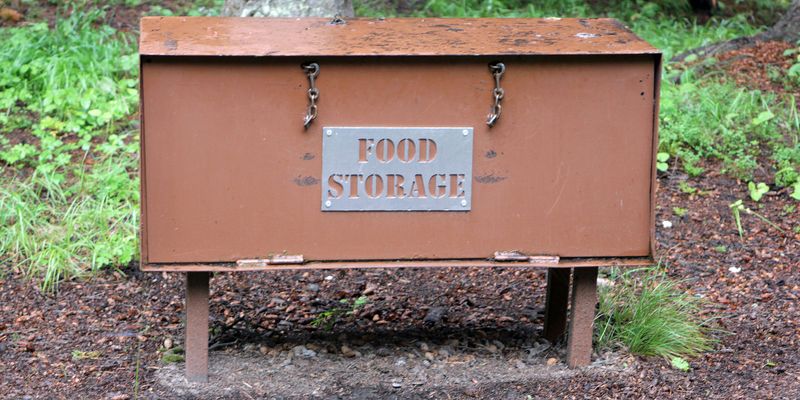 Proper Food Management