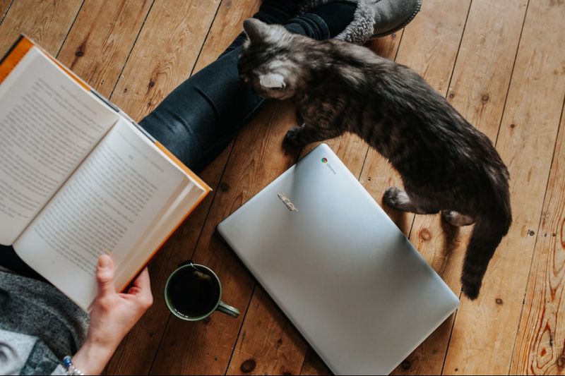 The Magic Of Predictable Routines