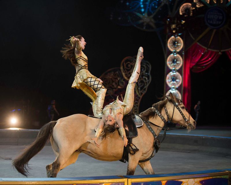 Circus Performer Horse
