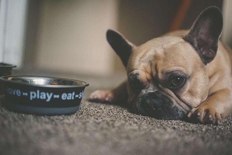 Refusing Food Then Gorging Dangerously