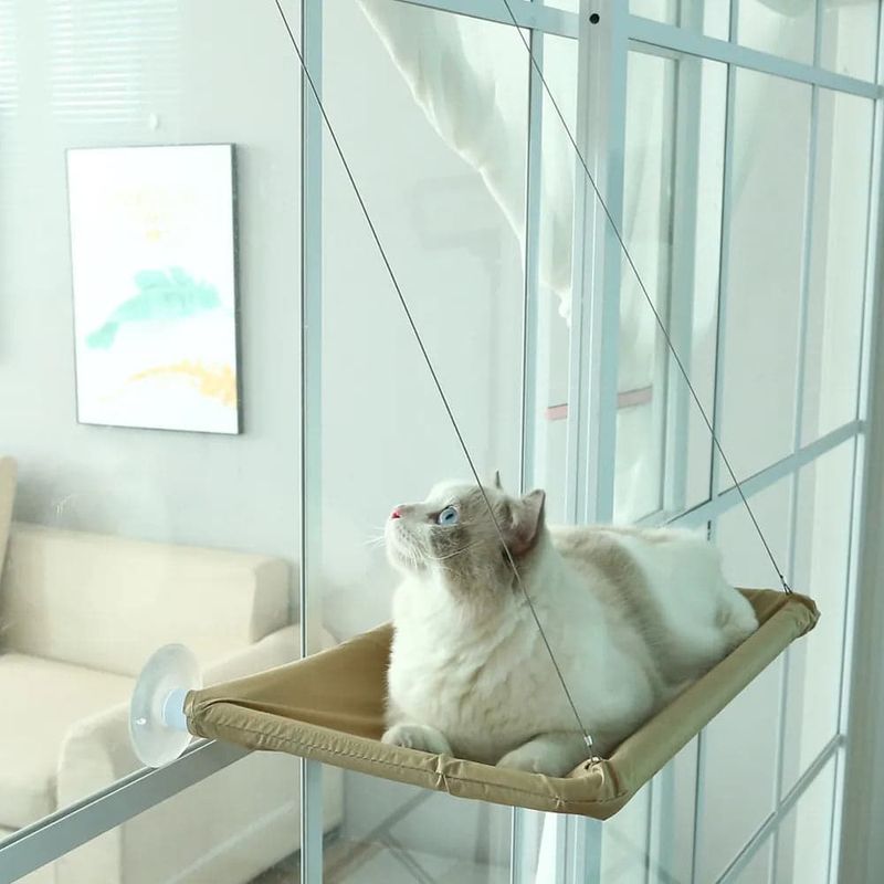 Bird-Watching Entertainment