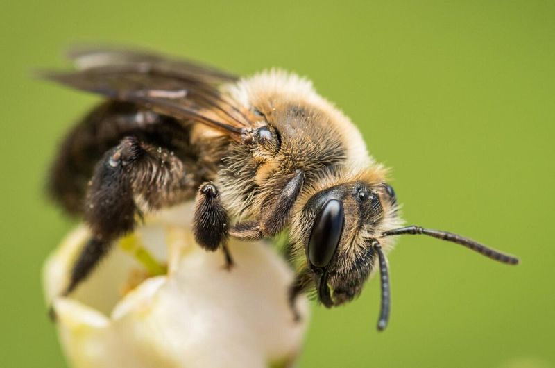 Become A Citizen Scientist