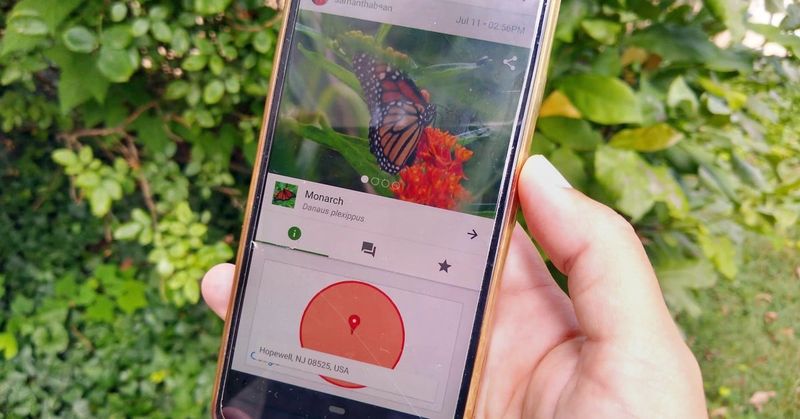 Become A Citizen Scientist