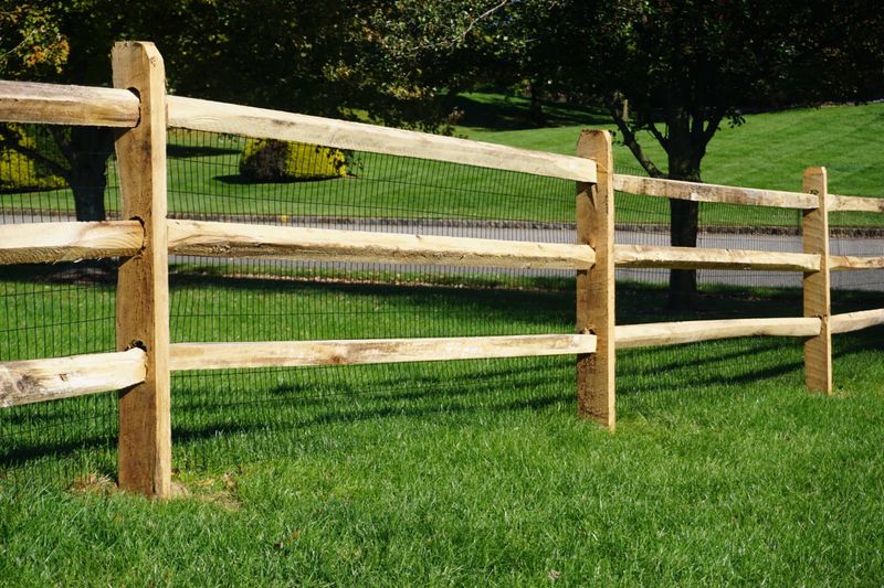 Choose Wildlife-Friendly Fencing