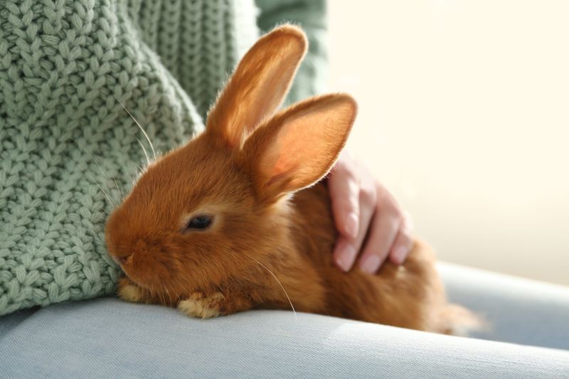 Relieving Stress With Physical Contact