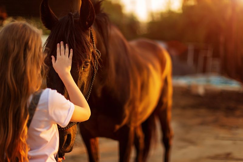 Therapeutic Healers: Horses