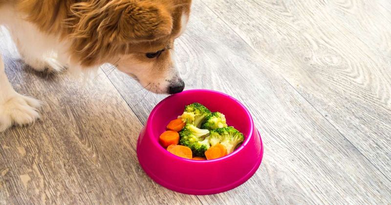 Add Vegetables To Meals