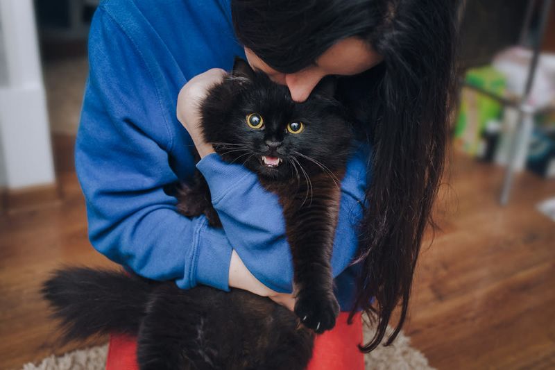 Health Benefits For Their Owners