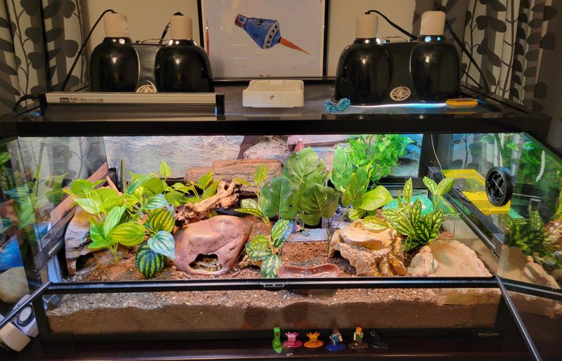 Humidity Hide Creation