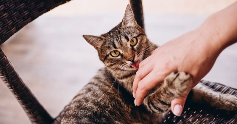 Grooming You – The Ultimate Compliment
