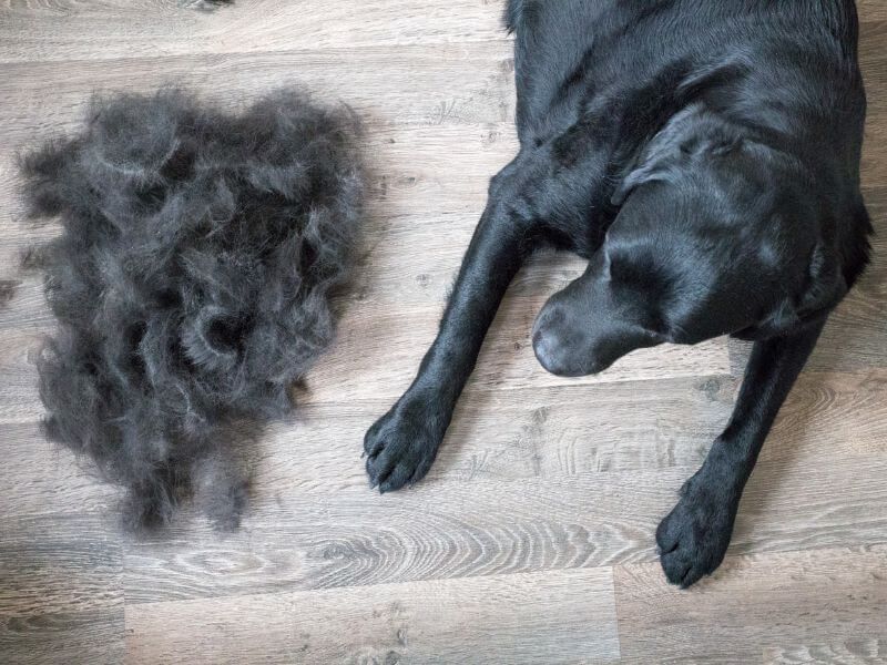 Shedding Solutions