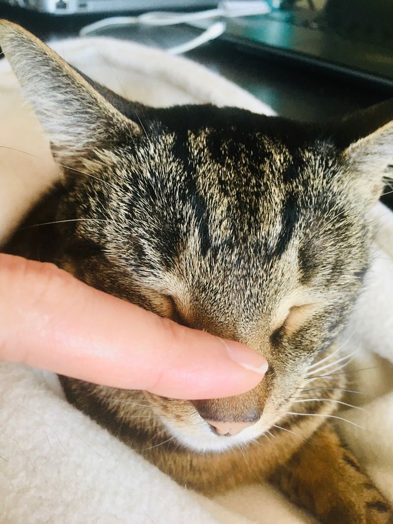 Nose Bumps