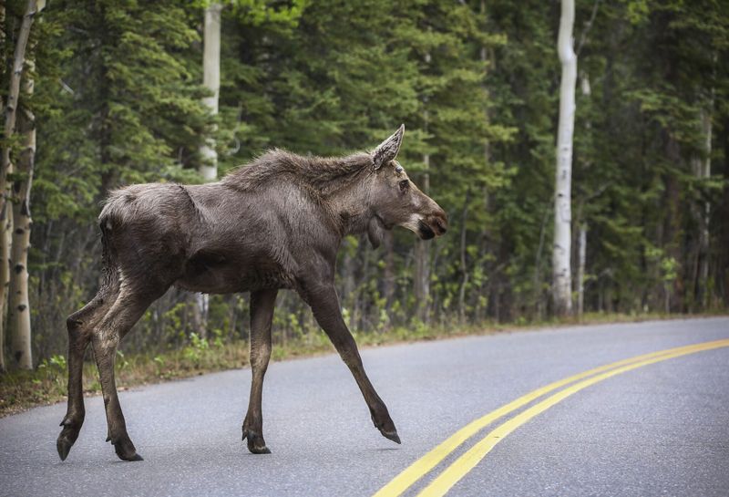 Seward Highway