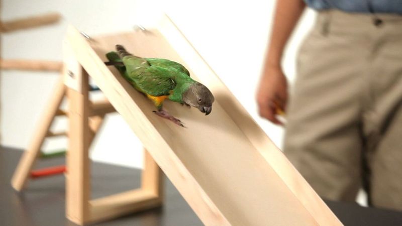 Climbing A Ladder