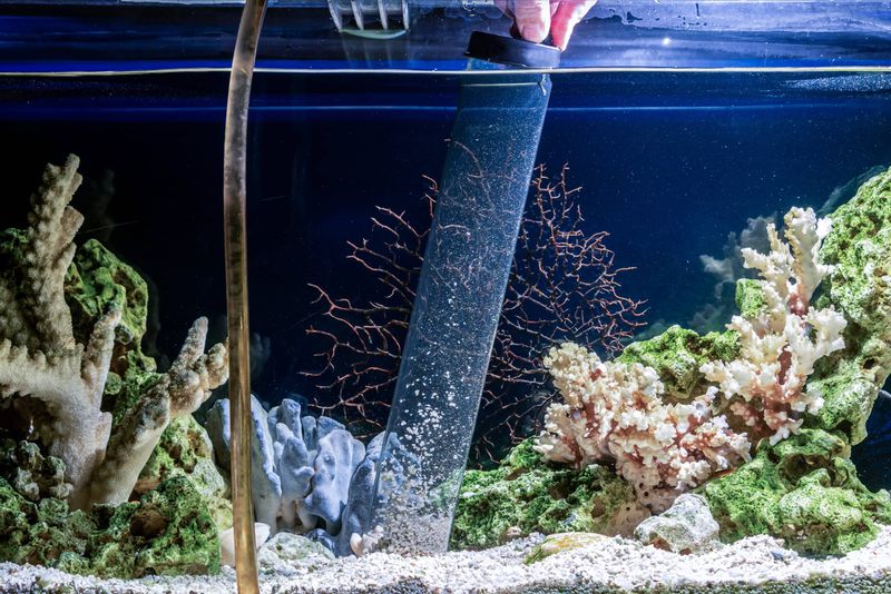 Water Changes
