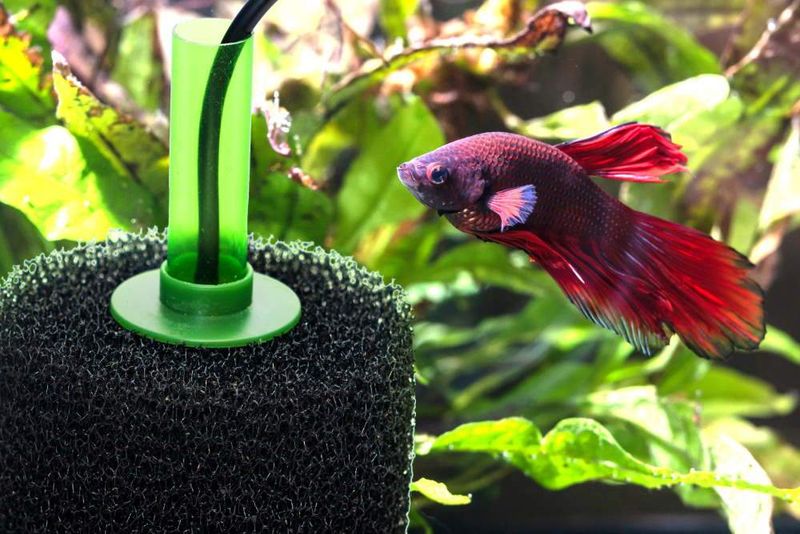 Filtration Without Stress