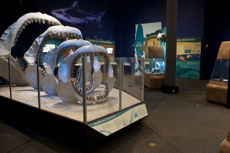 Museum's New Centerpiece