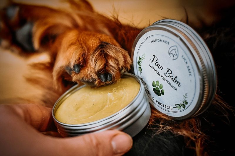Paw Pad Pamper